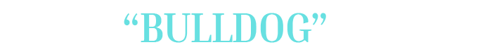 chris "bulldog" collins